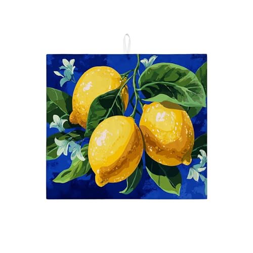 Abtropfmatte für Küchentheke, lebendiges Zitrusfrüchte, saugfähiges Abtropfgestell, Sommer-Küchendekoration, Mikrofaser-Abtropfmatte für Kaffeebar, 40,6 x 45,7 cm von Generic
