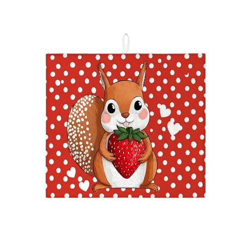 Abtropfmatte für Küchentheke, niedliches Eichhörnchen-Design, Rot mit Punkten, saugfähiges Abtropfgestell, lustige Mikrofaser-Abtropfmatte für Küchentheke und Picknick-Saison, 40,6 x 45,7 cm von Generic