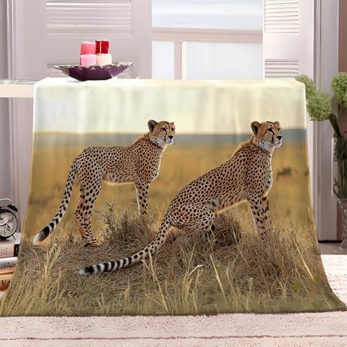 Afrikanischer Savannengepard Kuscheldecke Braun Flauschig Decke Fleecedecke, Sofa Überwurfdecke, Wohndecke Warm Weich Sherpa Wolldecke, Gemütlicher Überwurf Für Bett und Couch 130x150 cm von Generic
