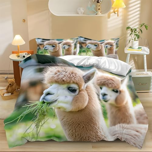 Alpaka-Nahaufnahme Bettwäsche Bettbezug 135 x 200 cm Bequem Bettdecke CoverTeilig Farbe Weiche Mikrofaser Bettbezug mit Reißverschluss und 2 Kissenbezug 80x80cm Alpaka-Nahaufnahme Bettwäsche Bettbezug 135 x 200 cm Bequem Bettdecke CoverTeilig Farbe Weiche Mikrofaser Bettbezug mit Reißverschluss und 2 Kissenbezug 80x80cm von Generic