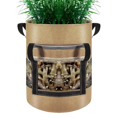 Anzuchttöpfe | Multischäcke mit Griffen, sichtbar | Pflanztöpfe in | Hochleistungs Pflanztöpfe gewischt | VliesDicker Growing Planter von Generic