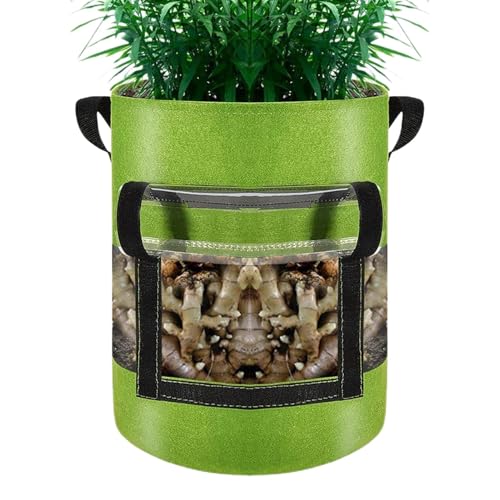 Anzuchttöpfe | Multischäcke mit Griffen, sichtbar | Pflanztöpfe in | Hochleistungs Pflanztöpfe gewischt | VliesDicker Growing Planter Anzuchttöpfe | Multischäcke mit Griffen, sichtbar | Pflanztöpfe in | Hochleistungs Pflanztöpfe gewischt | VliesDicker Growing Planter von Generic