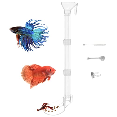 Aquarium-Futterröhre, Futterspender aus Acryl, transparent, Acryl, für Fische, Garnelen und andere Wassertiere mit Saugnapf von generic