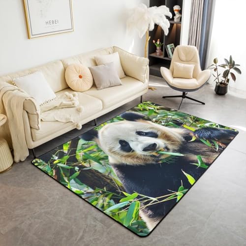 Area Map Wohnzimmerteppich Schlafzimmerteppich Tierpanda Teppich 3D-Gedruckter Flauschiger Flanellteppich 180 X 280 cm - Leicht Zu Reinigendes, Weiches Polyester -344952399999 Area Map Wohnzimmerteppich Schlafzimmerteppich Tierpanda Teppich 3D-Gedruckter Flauschiger Flanellteppich 180 X 280 cm - Leicht Zu Reinigendes, Weiches Polyester -344952399999 von Generic