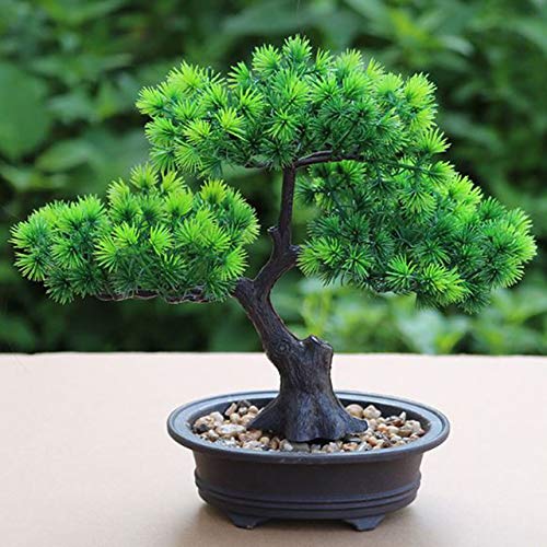 Artificial Flower Pot Set Desktop Fake Pine Tree Plants Plastic Vase Fake Flower Wedding Christmas Decoration for Home:4:Seeds Only Artificial Flower Pot Set Desktop Fake Pine Tree Plants Plastic Vase Fake Flower Wedding Christmas Decoration for Home:4:Seeds Only von Generic