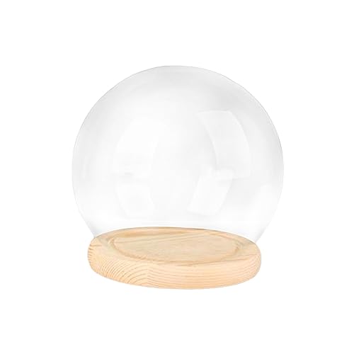 Ausstellungskuppel mit Sockel, Glasglocke, Puppenhaus Dekorationsvitrine, Terrariumbehälter, DIY Klarglaskuppel für Die Hochzeitsfeier Zum Valentinsta, Mehrfarbig, 12 cm Holzsockel von Generic