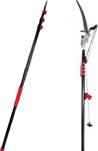 Ausziehbare Baumstangenschere, 5,4 M-7,2 M Professionelle Teleskop-baumschere Mit Sk5-schneidklinge Stangensäge Astschere Mit Langer Reichweite, 2 In 1 Ausziehbares Gartenwerkzeug, 24ft/7.2m Ausziehbare Baumstangenschere, 5,4 M-7,2 M Professionelle Teleskop-baumschere Mit Sk5-schneidklinge Stangensäge Astschere Mit Langer Reichweite, 2 In 1 Ausziehbares Gartenwerkzeug, 24ft/7.2m von Generic
