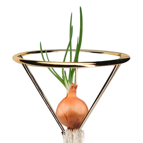 Avocado Growing Holder | Avocado Growing Kit | Avocado Seed Vase Holder | Avocado Seeds Starter Holders | Multifunktionaler Avocado Starter Metall Rack | Wurzelstarter Halter Halterung für Avocado Growing Holder | Avocado Growing Kit | Avocado Seed Vase Holder | Avocado Seeds Starter Holders | Multifunktionaler Avocado Starter Metall Rack | Wurzelstarter Halter Halterung für von Generic