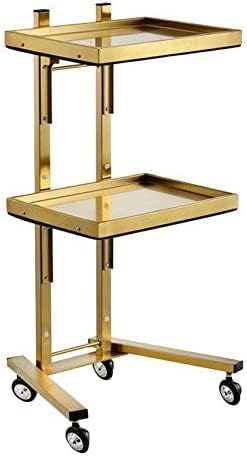 Beauty Cart Rolling Tool Trolley Cart, 2-stufiges Lagertablett, Salon Trolley Cart Für Beauty Hair Salon Tattoo Spa Clinic Medical Studio Zuhause, Gold Beauty Cart Rolling Tool Trolley Cart, 2-stufiges Lagertablett, Salon Trolley Cart Für Beauty Hair Salon Tattoo Spa Clinic Medical Studio Zuhause, Gold von Generic