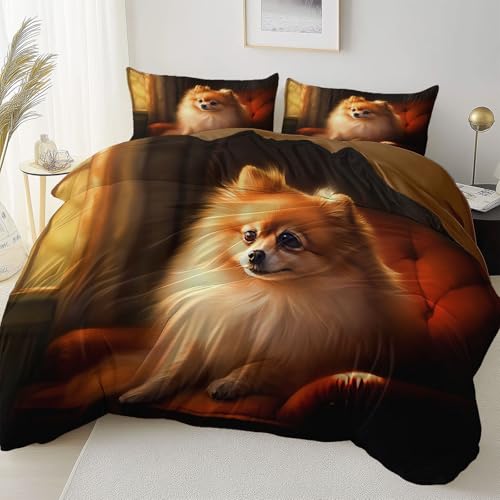 Bettbezug 135 x 200 cm, Tiere Zwergspitz Niedlich Print Bettwäsche, Bräunen Weich Mikrofaser Reversible Bettbezüge für Erwachsene Jungen und Mädchen Schlafzimmer-Kollektion Bettbezug 135 x 200 cm, Tiere Zwergspitz Niedlich Print Bettwäsche, Bräunen Weich Mikrofaser Reversible Bettbezüge für Erwachsene Jungen und Mädchen Schlafzimmer-Kollektion von Generic