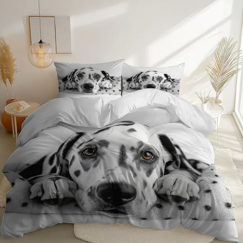 Bettbezug 3 teilig Dalmatiner: Ruhige Kameradschaft weich & bügelfrei Bettbezüge mit 135 x 200 cm Reißverschluss - Bettwäsche Set mit 2 Kissenbezüge 80cm x 80cm Weiß Bettbezug 3 teilig Dalmatiner: Ruhige Kameradschaft weich & bügelfrei Bettbezüge mit 135 x 200 cm Reißverschluss - Bettwäsche Set mit 2 Kissenbezüge 80cm x 80cm Weiß von Generic