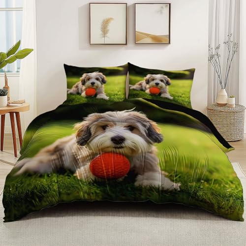 Wendbare Bettbezug 135 x 200 cm, Tier Havaneser Gras Bedruckte Bettbezüge mit Reißverschluss, Schwarz Waschbar Mikrofaser Bettwäsche Einfach und Pflege von Generic