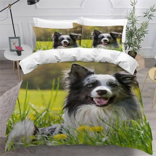 Bettwäsche 220x240 Border Collie mit Medaillon Weiche Mikrofaser Bettwäsche Set 3D-Druck Bettbezug Niedliche Tiere 3 Teiliger Bettbezüge mit Reißverschluss und 2 Kissenbezüge b.540 von Generic