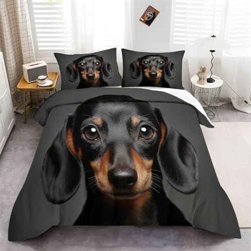 Bettwäsche Set Tier Dackel Nahaufnahme Schwarz Braunes, Weiche Atmungsaktiver Microfaser Bettbezüge für Alle Jahreszeiten, Bettwäsche-Set 3 Teilig mit Reißverschluss Pflegeleicht 135 cm x 200 cm Bettwäsche Set Tier Dackel Nahaufnahme Schwarz Braunes, Weiche Atmungsaktiver Microfaser Bettbezüge für Alle Jahreszeiten, Bettwäsche-Set 3 Teilig mit Reißverschluss Pflegeleicht 135 cm x 200 cm von Generic