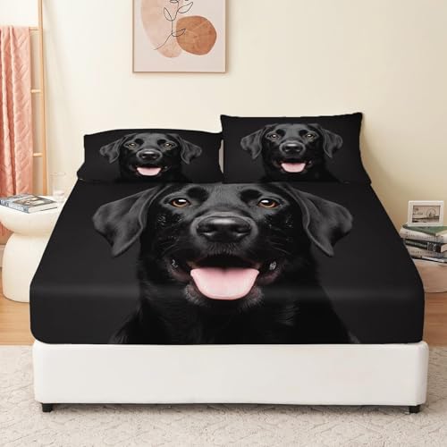 Bettwäsche Spannbettlaken Tiere Labrador Portrait Bettwäsche für 2 Kissenbezug 140 x 200 cm Farbe Weiche Mikrofaser mit Pflegeleichte weiche Baumwolle und haltbar Bettwäsche Spannbettlaken Tiere Labrador Portrait Bettwäsche für 2 Kissenbezug 140 x 200 cm Farbe Weiche Mikrofaser mit Pflegeleichte weiche Baumwolle und haltbar von Generic