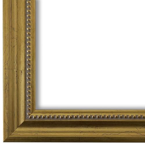 Bilderrahmen Gold DIN A3 30x42 cm - Modern, Shabby, Vintage, Antik, Verziert, Barock - Alle Größen - handgefertigter Holz Rahmen - Dresden von Generic