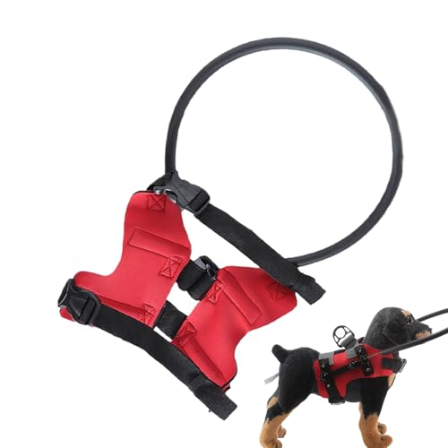 Blindenhund Geschirr | Anti-Kollisions-Ring Für Sehbehinderte Hunde - Einstellbarer Sicherheitsring Für Spaziergänge Und Selbstvertrauen Blindenhund Geschirr | Anti-Kollisions-Ring Für Sehbehinderte Hunde - Einstellbarer Sicherheitsring Für Spaziergänge Und Selbstvertrauen von Generic