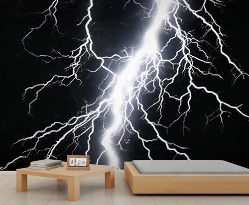 Blitz Wandbild Leuchtend Weiße Blitz Tapete Schwarze Wandtapete Natur Tapete für Schlafzimmer Wohnzimmer Poster 390 X 260 cm Blitz Wandbild Leuchtend Weiße Blitz Tapete Schwarze Wandtapete Natur Tapete für Schlafzimmer Wohnzimmer Poster 390 X 260 cm von Generic