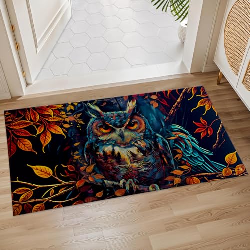 Bodenmatte Autumnnachteule Mode Innen Schmutzfangmatte Waschbar Türmatte Eingang Für Flur Haustür Küche 40X60Cm von Generic