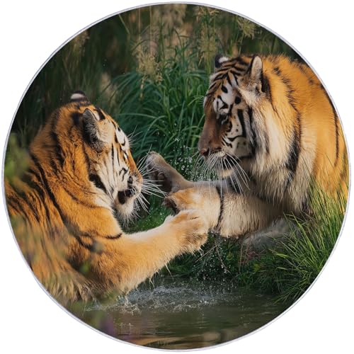 Braunes Grün Runder Teppich 200 cm Round Eingangsbereich Großer Kreis Bereich Teppiche Küche Kurzflor Weich Teppiche rutschfest Innenschlafzimmer Waschbar Teppich Natur Tiere Fotografie Tiger von Generic
