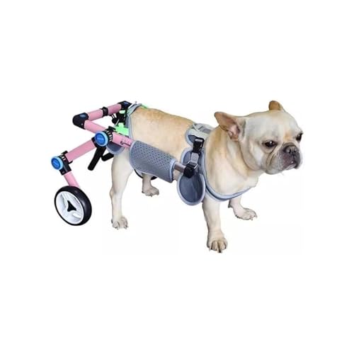 Breitenverstellbarer Rollstuhl Für Hunde, Faltbarer Katzenrollstuhl, Hunderollstuhl Für Kleine/extra Große Hunde/behinderte Hunde(XXL) von Generic