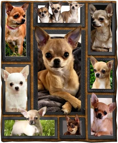 Chihuahua Kuscheldecke Flauschig 130x150cm 3D Schön Fleecedecke Weich Sofadecke Warm Bettdecke Decken Wohndecke Tagesdecke Sofaüberwurf Decke Couchdecke Bettüberwurf E928 von Generic
