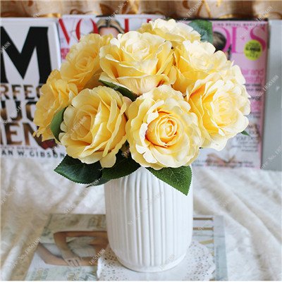 Colourful Seed Rose China Most Popular Excursions Bonsai Rosas Plan in Vase Wedding Party Decorative Natural Balcony Growth of 50 Pieces 18 : Seeds Only von Generic