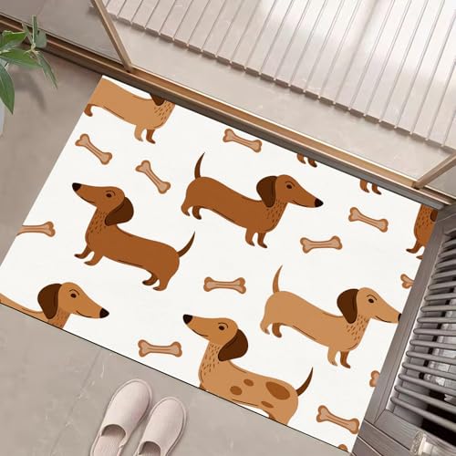 Dackel Fußmatte Schmutzfangmatte Innen 50 X 80 cm rutschfeste Waschbar Fussmatte, Sauberlaufmatte Teppich Für Eingangsbereich, Haustür, Flur, Porch - Weiß Cartoon-Hund von Generic