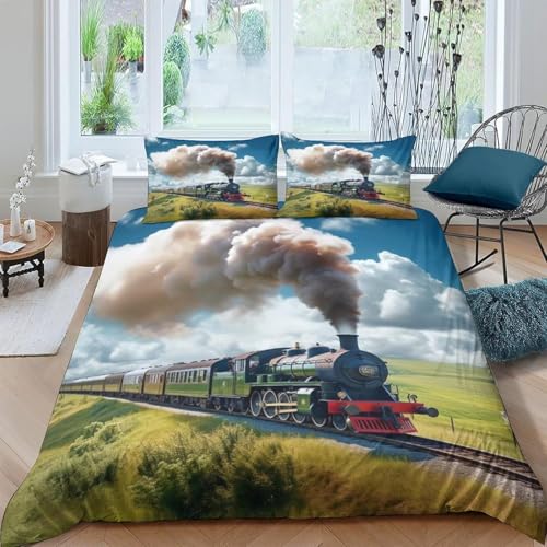 Dampfzug Bettwäsche 200x200 3D Drucken Reisezug Bettwäsche-Sets Weiche Kuschelig Mikrofaser Bettbezug mit 2 Kissenbezüge 80x80 cm mit Reißverschluss B.323 von Generic