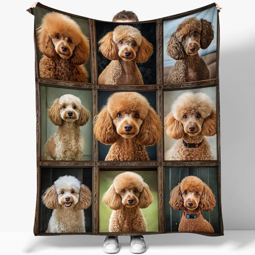 Kuscheldecke Flauschig Decke 180 x 220 cm Wohndecke Couchdecke Mikrofaser Sofaüberwurf Tagesdecke weiche warme Sofadecke mit Süßer Und Verspielter Pudel Motiv Braun von Generic