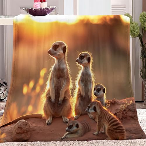Decke Sofa Kuscheldecke Gelb, Flauschige extra weich warm Wohndecke Flanell Kuscheldecke Tier ErdmäNnchen Muster 180 x 220 cm verfügbar als Sofadecke oder Bettüberwurf von Generic
