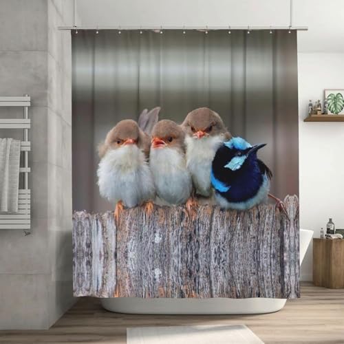 Duschvorhang 100x200 cm Vogel Duschvorhang Niedliche Tiere Bad Vorhang Anti Schimmel Wasserdicht 3D Shower Curtains Waschbar Polyester Stoff Duschvorhänge für Badewanne Badezimmer E-818 Duschvorhang 100x200 cm Vogel Duschvorhang Niedliche Tiere Bad Vorhang Anti Schimmel Wasserdicht 3D Shower Curtains Waschbar Polyester Stoff Duschvorhänge für Badewanne Badezimmer E-818 von Generic