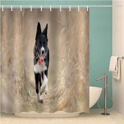 Duschvorhang 180x180 Anti-Schimmel Hund Duschvorhänge Wasserdicht Waschbar Polyester Textil Badevorhang Naturlandschaften 3D Shower Curtain A/6797 von Generic