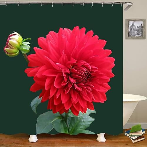 Duschvorhang 180x180 Anti-Schimmel Pflanzen Duschvorhänge Wasserdicht Waschbar Polyester Textil Badevorhang Rote Blumen 3D Shower Curtain A/156 Duschvorhang 180x180 Anti-Schimmel Pflanzen Duschvorhänge Wasserdicht Waschbar Polyester Textil Badevorhang Rote Blumen 3D Shower Curtain A/156 von Generic