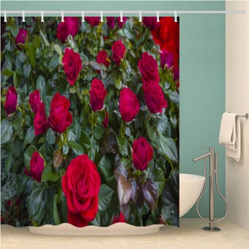 Duschvorhang 180x180 Anti-Schimmel Rosen Duschvorhänge Wasserdicht Waschbar Polyester Textil Badevorhang Rot 3D Shower Curtain A-9076 Duschvorhang 180x180 Anti-Schimmel Rosen Duschvorhänge Wasserdicht Waschbar Polyester Textil Badevorhang Rot 3D Shower Curtain A-9076 von Generic