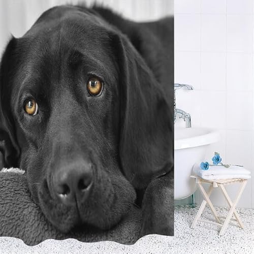 Duschvorhang 180x200 Anti-Schimmel Hund Duschvorhänge Wasserdicht Waschbar Polyester Textil Badevorhang Niedliche Tiere 3D Shower Curtain A/5169 von Generic