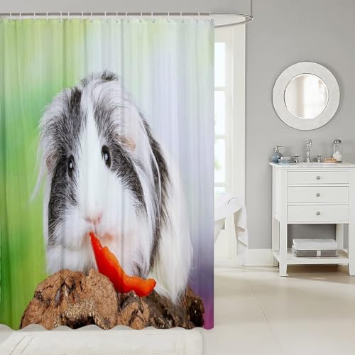 Duschvorhang 180x200 Anti-Schimmel Meerschweinchen Duschvorhänge Wasserdicht Waschbar Polyester Textil Badevorhang Niedliche Tiere 3D Shower Curtain A-9045 Duschvorhang 180x200 Anti-Schimmel Meerschweinchen Duschvorhänge Wasserdicht Waschbar Polyester Textil Badevorhang Niedliche Tiere 3D Shower Curtain A-9045 von Generic