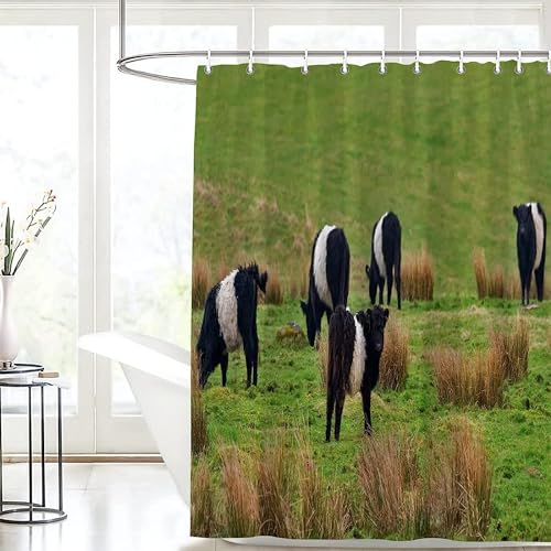 Duschvorhang 200x200 Anti-Schimmel Kuh Duschvorhänge Wasserdicht Waschbar Polyester Textil Badevorhang Rasentiere 3D Shower Curtain A/7438 Duschvorhang 200x200 Anti-Schimmel Kuh Duschvorhänge Wasserdicht Waschbar Polyester Textil Badevorhang Rasentiere 3D Shower Curtain A/7438 von Generic