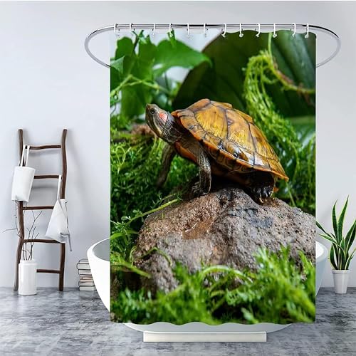Duschvorhang 240x200 Anti-Schimmel Schildkröte Duschvorhänge Wasserdicht Waschbar Polyester Textil Badevorhang Reptilien 3D Shower Curtain A/7511 Duschvorhang 240x200 Anti-Schimmel Schildkröte Duschvorhänge Wasserdicht Waschbar Polyester Textil Badevorhang Reptilien 3D Shower Curtain A/7511 von Generic
