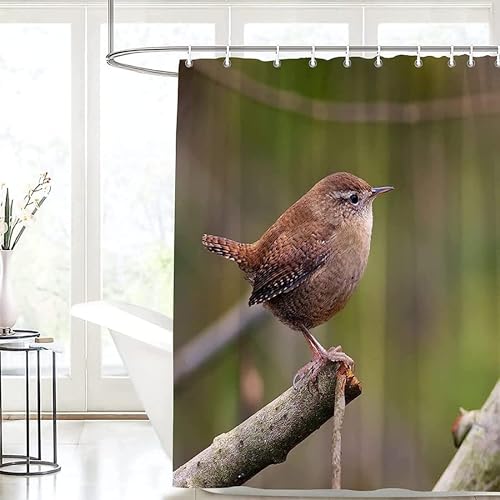 Duschvorhang 240x200 Anti-Schimmel Vogel Duschvorhänge Wasserdicht Waschbar Polyester Textil Badevorhang Tiere 3D Shower Curtain A/6953 Duschvorhang 240x200 Anti-Schimmel Vogel Duschvorhänge Wasserdicht Waschbar Polyester Textil Badevorhang Tiere 3D Shower Curtain A/6953 von Generic