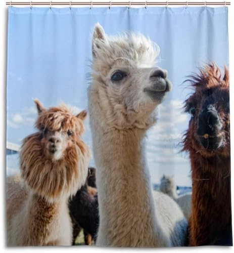 Duschvorhang 240x200 cm Alpaka, aus Stoff Polyester Waschbar Anti Schimmel Tier Shower Curtains, Duschvorhänge Curtains mit 12 Haken, A1415 von Generic