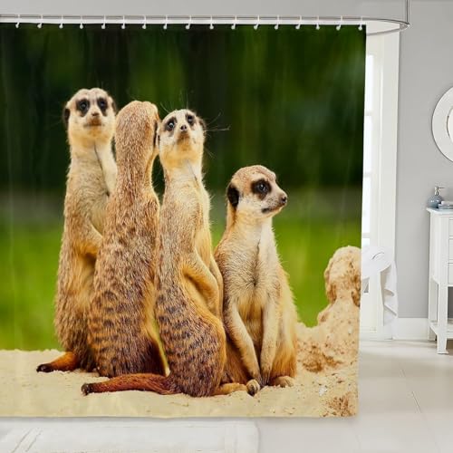 Duschvorhang 240x200 cm Erdmännchen Duschvorhang Tiermuster Bad Vorhang Anti Schimmel Wasserdicht 3D Shower Curtains Waschbar Polyester Stoff Duschvorhänge für Badewanne Badezimmer E-592 Duschvorhang 240x200 cm Erdmännchen Duschvorhang Tiermuster Bad Vorhang Anti Schimmel Wasserdicht 3D Shower Curtains Waschbar Polyester Stoff Duschvorhänge für Badewanne Badezimmer E-592 von Generic
