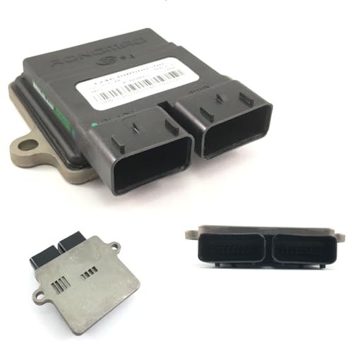 ECU RONGMAO offen STEUERGERÄT ECU CDI ungedrosselt für 50ccm 4T EURO4 + 5 EFI CHINA ROLLER - ZÜND STEUER EINHEIT von Boppon