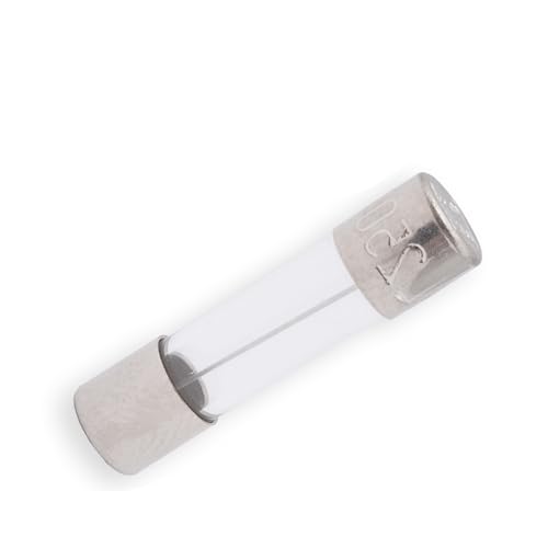 ESKA Feinsicherung 5A Träge 250V AC | 10 Stück Transparent von KIOTEET