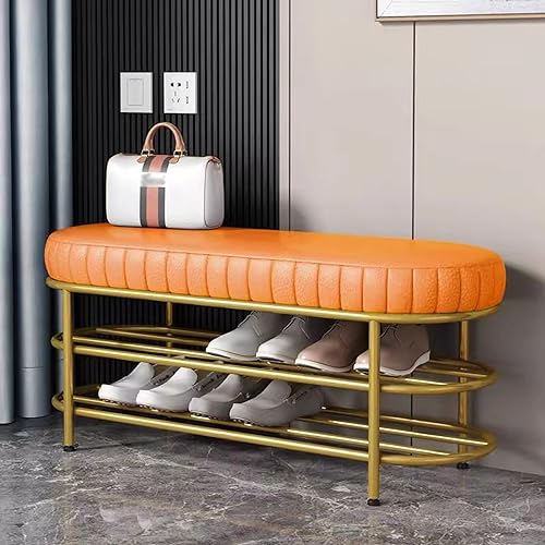 Entryway Seat Shoe Bench with Storage and Cushion, Shoes Rack Organizer Bench for Bedroom, End of Bed, Living Room, Foyer, Hallway von Generic