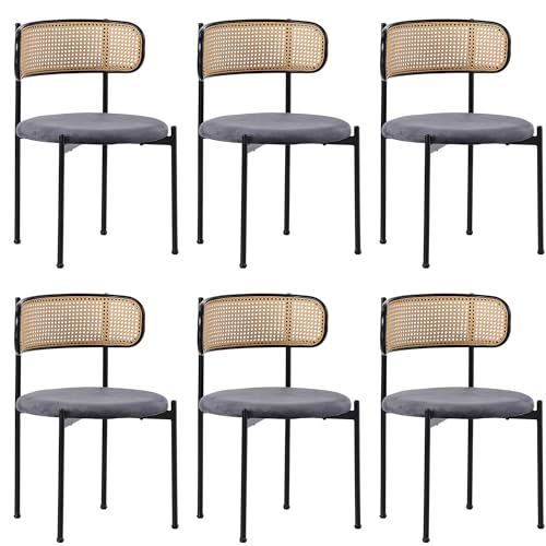 Esszimmerstuhl 6er Set Moderner Rattan-Freizeitstuhl mit 4 Stützbeinen aus Metall Samt Stühlen mit Rückenlehne für Küche Esszimmer Wohnzimmer Schlafzimmer 6 Grau Stuhl Esszimmerstuhl 6er Set Moderner Rattan-Freizeitstuhl mit 4 Stützbeinen aus Metall Samt Stühlen mit Rückenlehne für Küche Esszimmer Wohnzimmer Schlafzimmer 6 Grau Stuhl von Generic