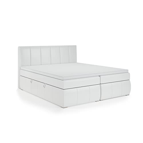 FEDVE Boxspringbett 160x200 Weiß Öko-Leder – Leo – Dauerhaft Bett mit Bettkasten – Praktisches Doppelbett mit Stauraum für Viele Jahr - Kopfteil Bett mit Matratze zum Schlafzimmer von Generic