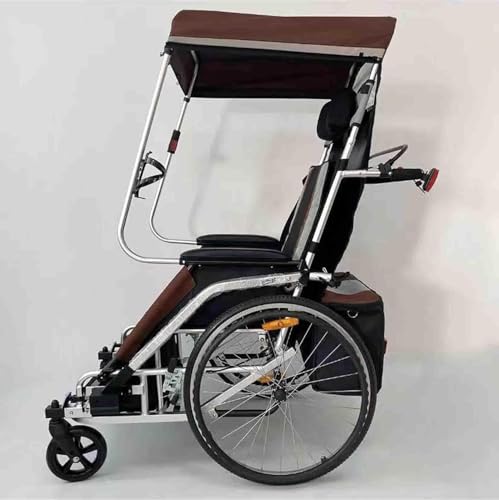 Fahrradanhänger Erwachsener Rollstuhl Fahrrad Aluminiumlegierung Hinterradanhänger Stoßdämpfung Komfortabler Traktor Multifutiol Wagen, Coffee von Generic
