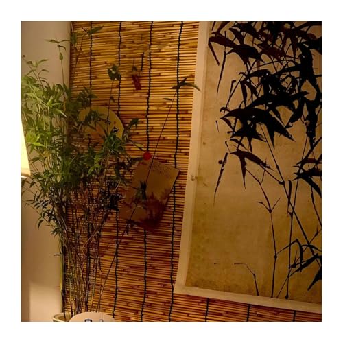 Fenster Sonnenschutz Rollo Wand Hauptdekorationen Gartensichtschutz Zaun für Aussenbereich Balkon Wetterfest 50 X 80 Cm/20 X31 In(100x260 CM/39x102 IN) von Generic