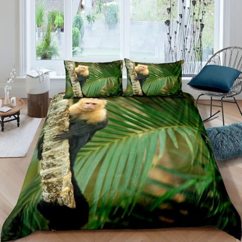 Feuilles de Palmier Bettwäsche 135x200 AFFE Bettwäsche Set, 3D Bettbezug Set Weich Microfaser Bettbezüge 2 Teilig Tropische Pflanzen Wendebettwäsche für Einzelbett, mit 1 Kissenbezug b2449 von Generic